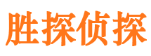 汉阳侦探公司